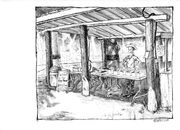 IVY PLACE BERRY FARM.  (VAN DRAWING) uni-ball ballpoint, PITT artist pen on paper.